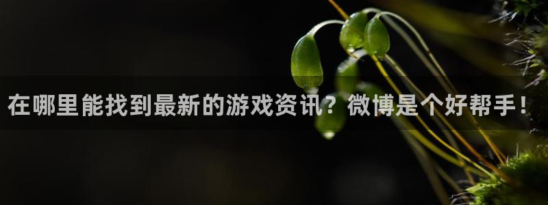 极悦娱乐登录地址：在哪里能找到最新的游戏资讯？微博是个好帮手