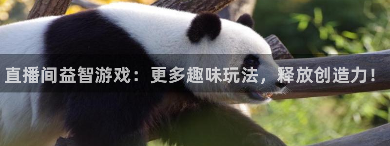 极悦娱乐登陆地址：直播间益智游戏：更多趣味玩法，释放创造力！