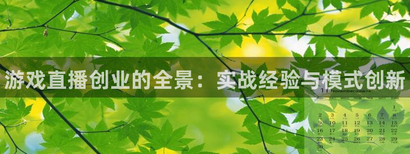 极悦娱乐平台官网注册：游戏直播创业的全景：实战经验与模式创新