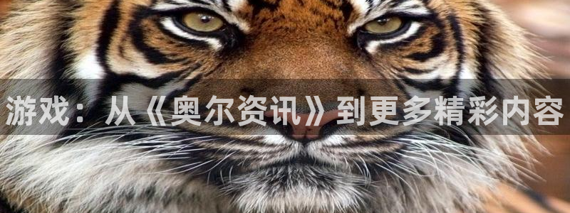 极悦娱乐官方平台：游戏：从《奥尔资讯》到更多精彩内容