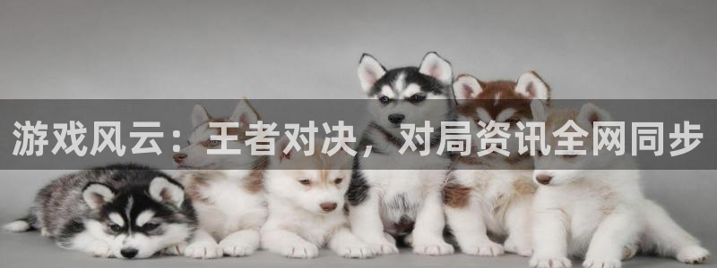 极悦娱乐登陆测速：游戏风云：王者对决，对局资讯全网同步