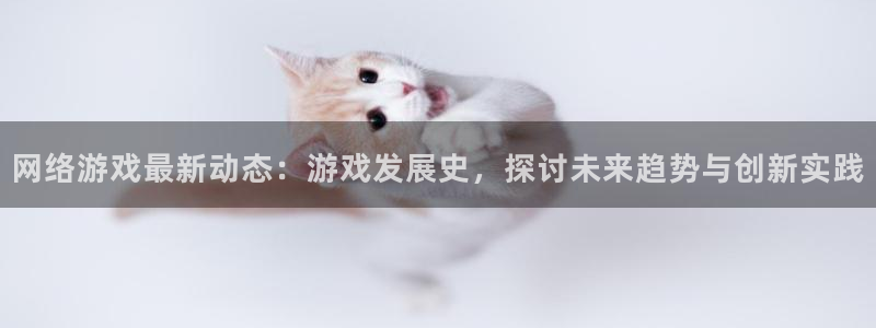 极悦娱乐平台登陆：网络游戏最新动态：游戏发展史，探讨未来趋势