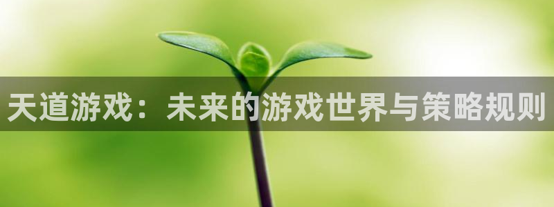 极悦娱乐注册开户：天道游戏：未来的游戏世界与策略规则