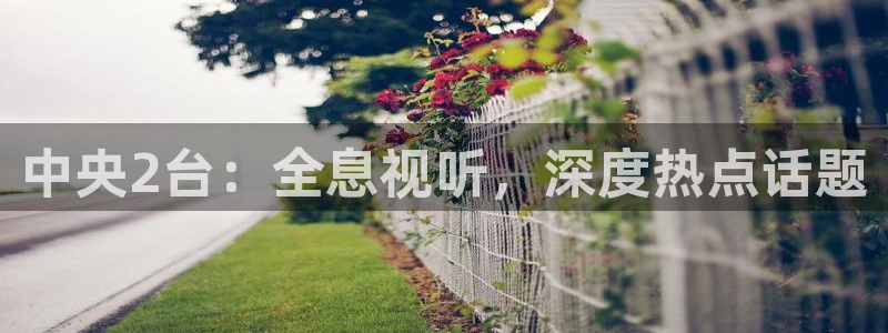 jrkankan直播体育网：中央2台：全息视听，深度热点话题