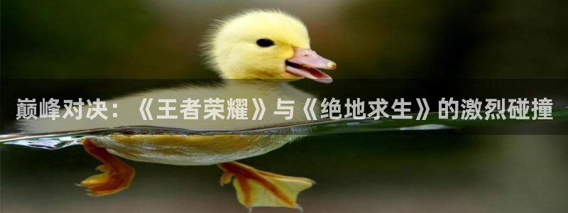 极悦娱乐旗下品牌大全：巅峰对决：《王者荣耀》与《绝地求生》的