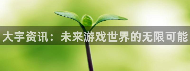 极悦娱乐必7O777：大宇资讯：未来游戏世界的无限可能