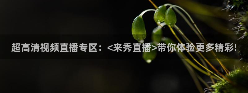 jr看球网直播nba