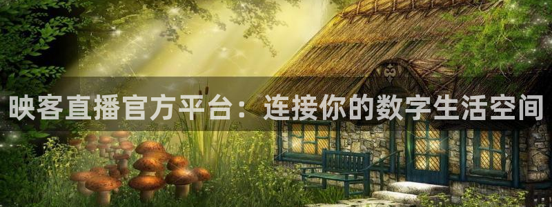 nba直播jrkan