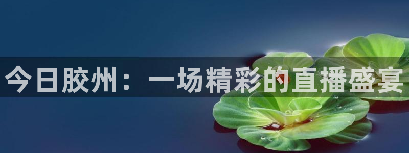 jrkan直播体育nba