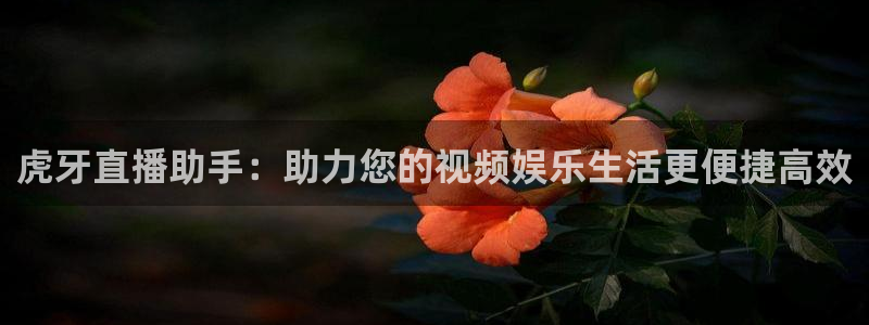 jrkan nba直播：虎牙直播助手：助力您的视频娱乐生活更便捷高效