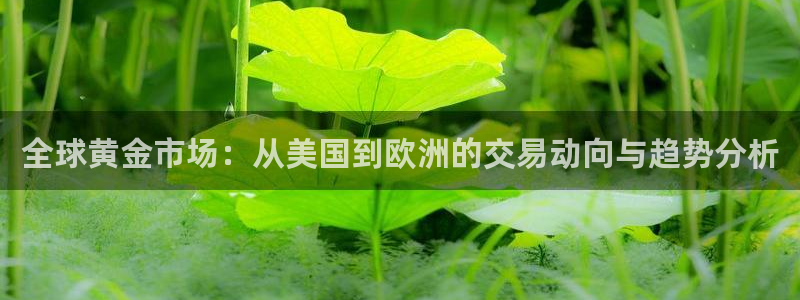 jrkan直播免费高清体育直播nba：全球黄金市场：从美国到欧洲的交易动向与趋势分析