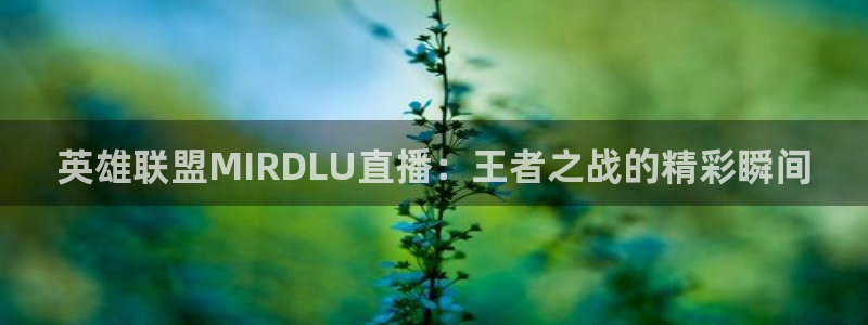 jrkan2023直播体育网：英雄联盟MIRDLU直播：王者之战的精彩瞬间
