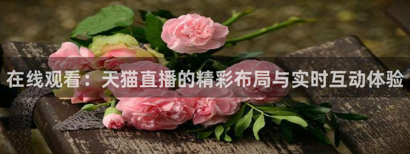 nbajrkan直播：在线观看：天猫直播的精彩布局与实时互动体验
