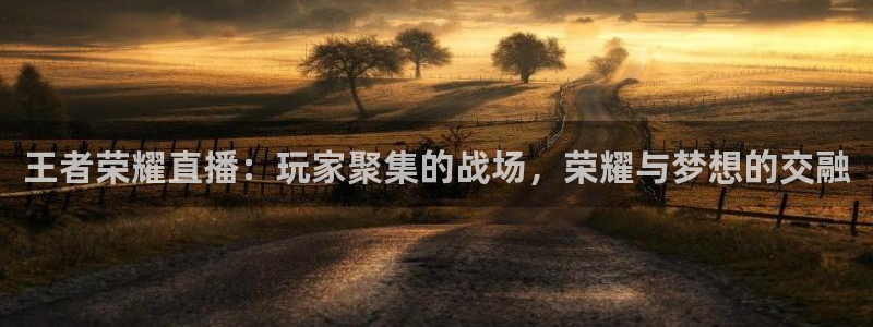 jrkankan体育直播：王者荣耀直播：玩家聚集的战场，荣耀与梦想的交融