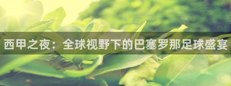 jrkan直播nba在线观看：西甲之夜：全球视野下的巴塞罗那足球盛宴